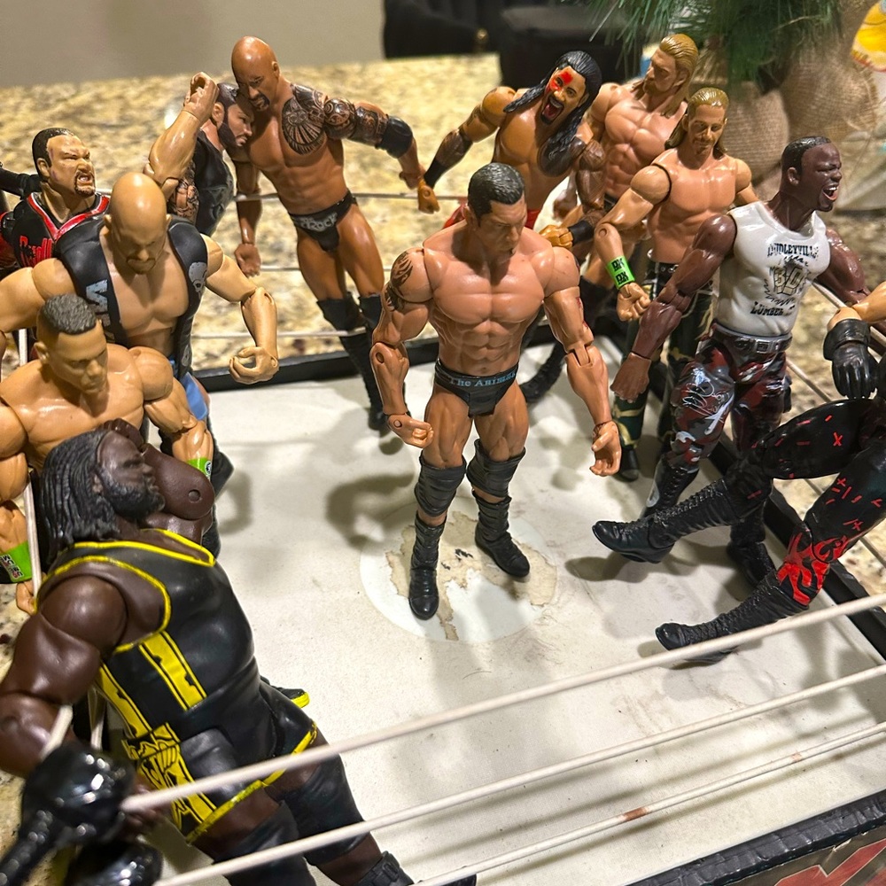 Wwe ring and 12 fighters
